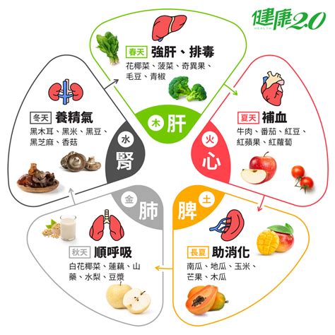 五行食物表|食物和五行的属性。